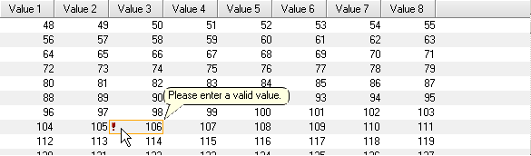 Data Validation