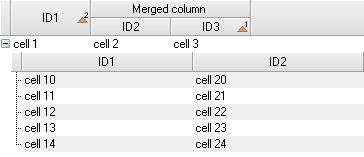 Merged columns